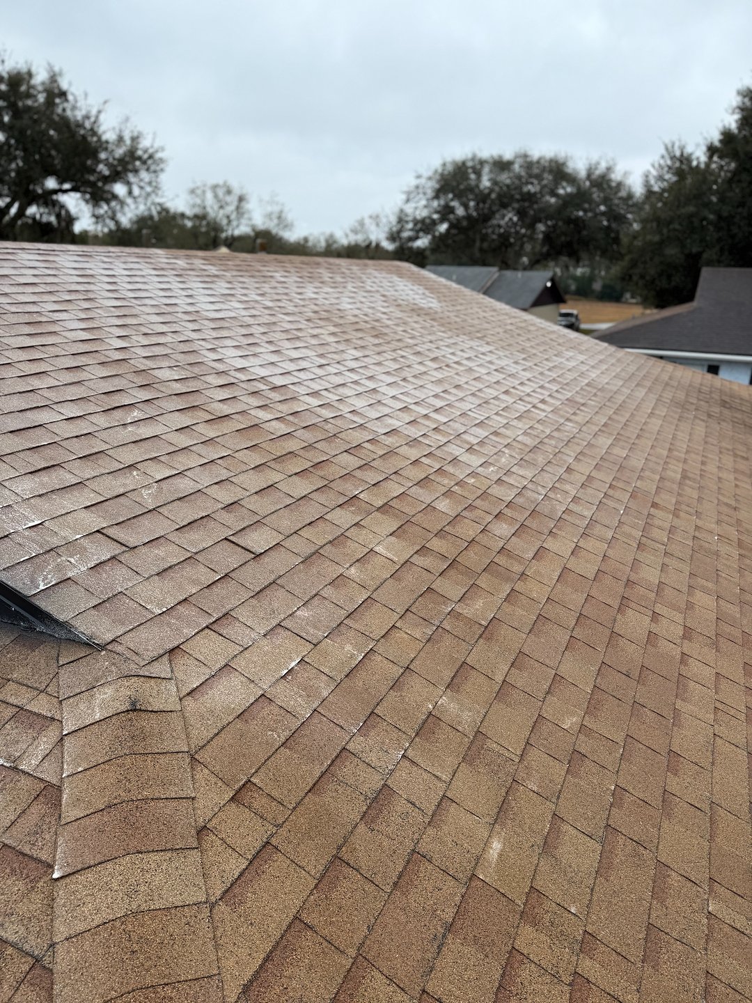 Roof Cleaning Auburndale Fl